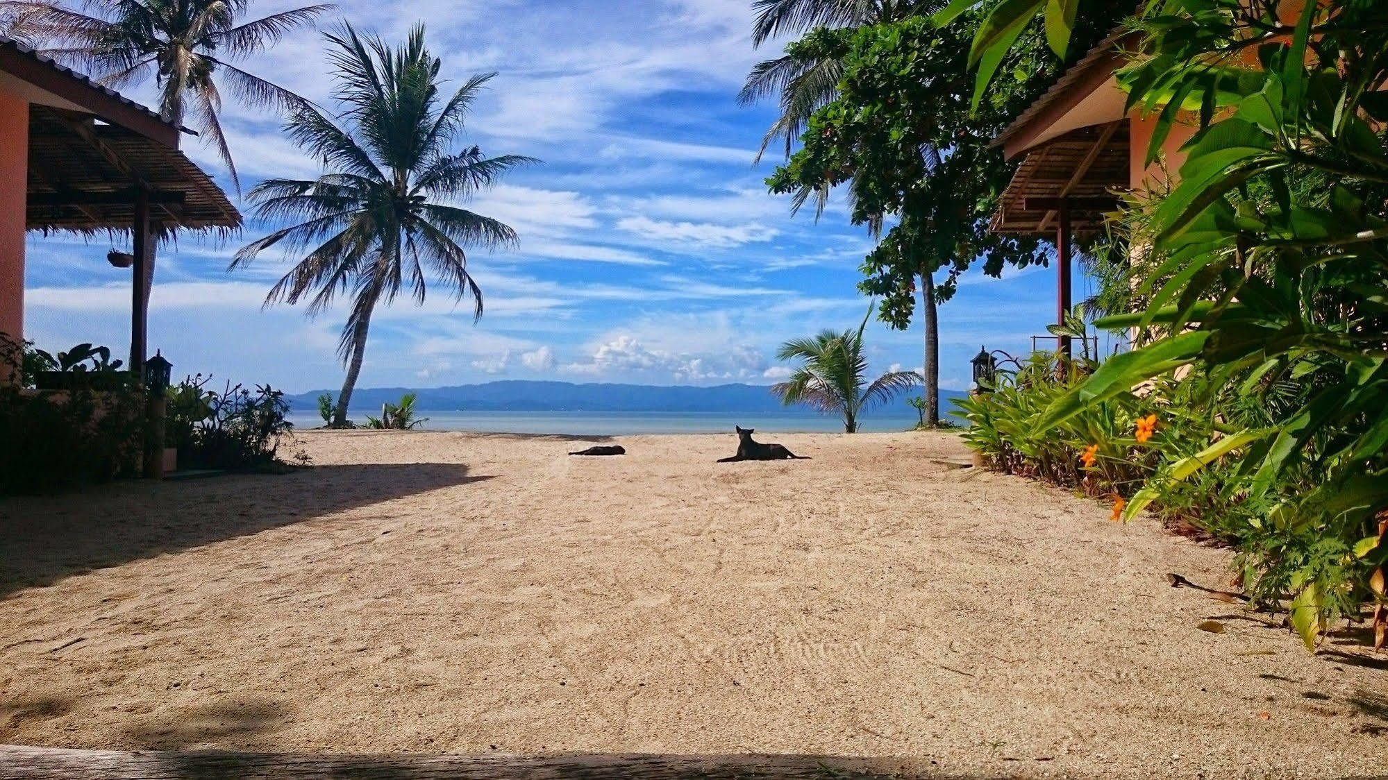 Papillon Bungalows Ban Tai Exterior photo